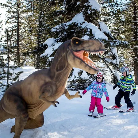 Διαμέρισμα Nrv 567 Xl